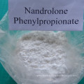 Npp Poudre brute de stéroïde moins cher Nandrolone Phenylpropionate for Bodybuilder